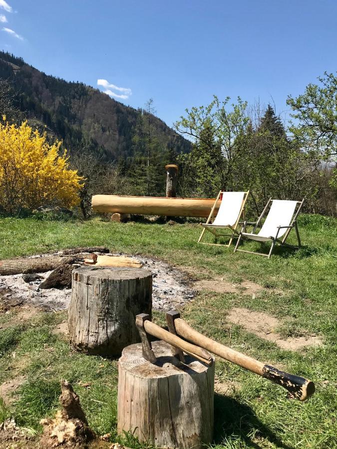Charmante Gaestewohnung In Altem Bauernhaus In Alpiner Alleinlage Stanz Im Murztal Экстерьер фото