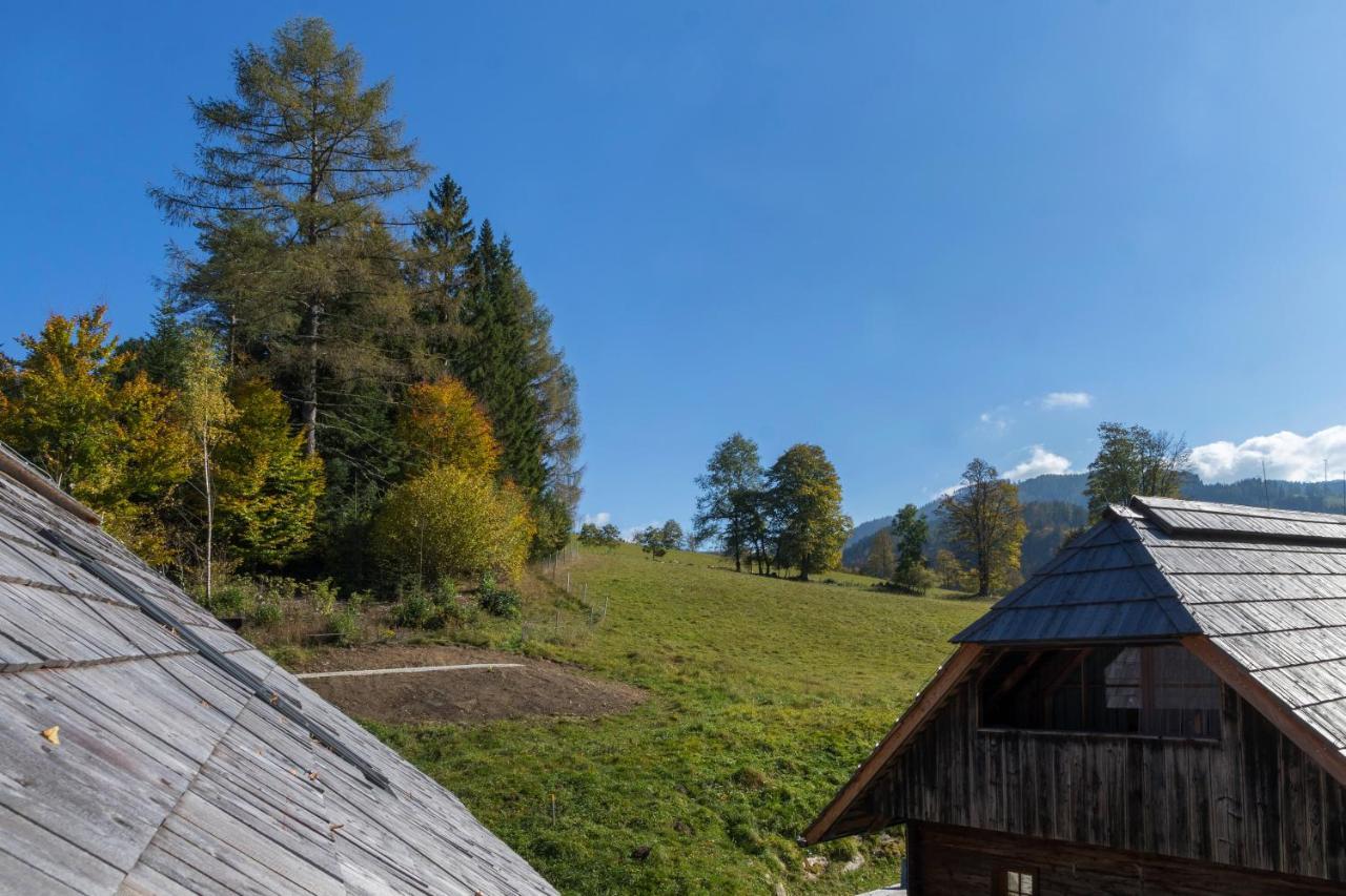 Charmante Gaestewohnung In Altem Bauernhaus In Alpiner Alleinlage Stanz Im Murztal Экстерьер фото